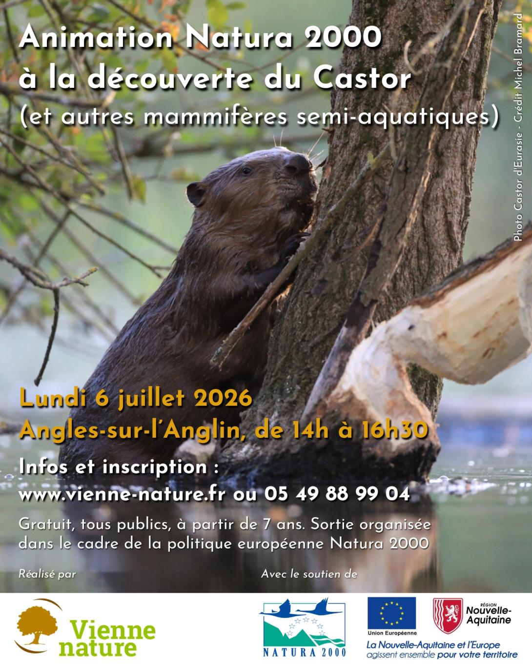 Animation sur le Castor