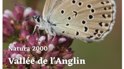 2019-lettre_info_natura2000_anglin2-page001.jpg