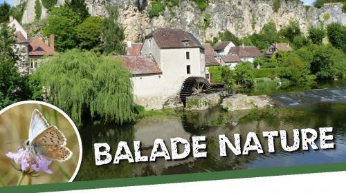 affiche_balade_nature_angles_avril_2018.jpg