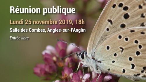 affiche_reunion_publique_n2000.jpg
